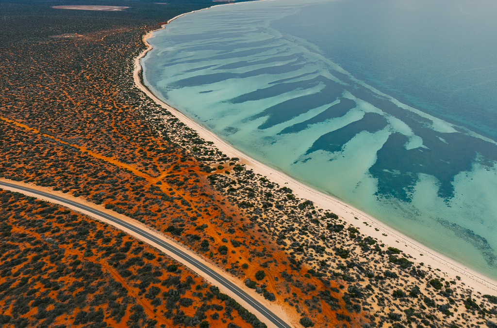 Shark Bay